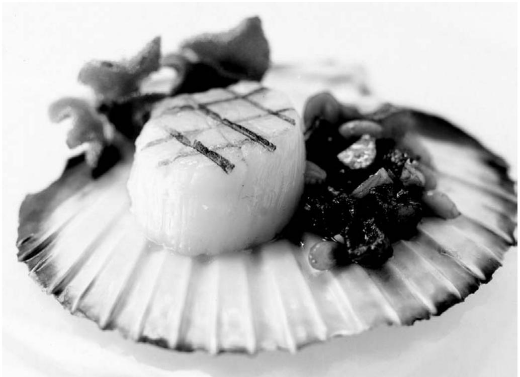 BRANDT KV374XE1 - ELECTRIC COOKERS WITH STANDARD OR CERAMIC HOB - 1