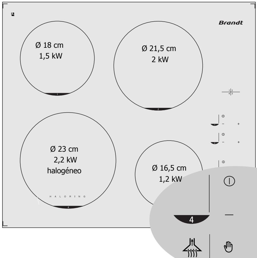 BRANDT TV399XF1 - Utilize a sua placacom todaa faculdade - 1