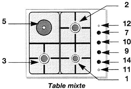 BRANDT TK31C - Comment se présente votre table de cuisson ? - 2
