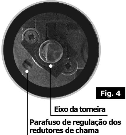 BRANDT TE613ES1 - Modelo com sistemas de segurarca - 1