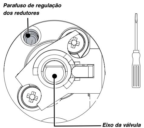 BRANDT TG600BS1 - - Passagem do gás butano/propano para o gás natural ou para ar butanado/propanado - 2