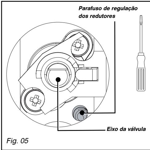 BRANDT TG600BS1 - - Passagem do gás butano/propano para o gás natural ou para ar butanado/propanado - 3