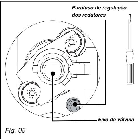BRANDT TG610BS1 - - Passagem do gás butano/propano para o gás natural ou para ar butanado/propanado - 3