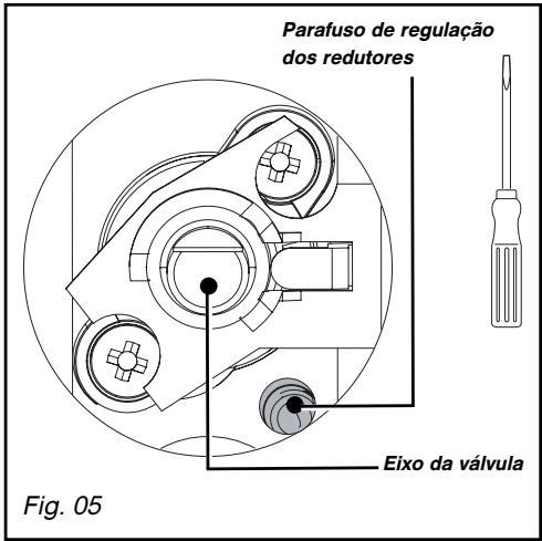 BRANDT TG611BS1 - - Passagem do gás butano/propano para o gás natural ou para ar butanado/propanado - 3