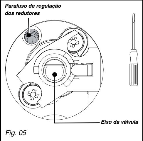 BRANDT TG611BS1 - - Passagem do gás butano/propano para o gás natural ou para ar butanado/propanado - 2