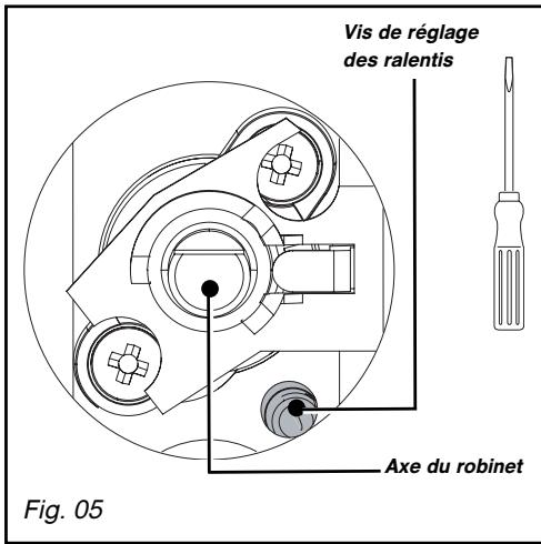 BRANDT TI613BS1 - Passage du gaz butane/propane en gaz naturel ou à l'air butané/propané - 3