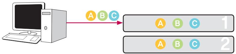 LG N2R1D - Volumes mirroring RAID 1 - 1