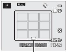 NIKON COOLPIX P7100 - Mode de zones AF - 2