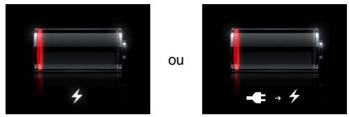 APPLE IPAD MINI - L'image de batterie faible ou le message « Aucune recharge en cours » s'affiche - 1