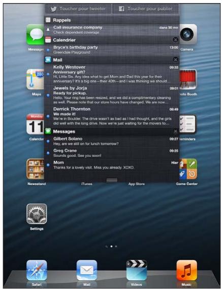 APPLE IPAD MINI - Notifications - 2