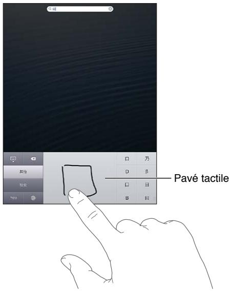 APPLE IPAD MINI - Méthodes de saisie spéciales - 1