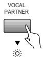 PIONEER DVL-V888 - VOCAL PARTNER - 2