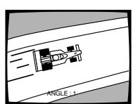 PIONEER DVL-V888 - Press ANGLE during playback. - 1