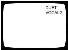 PIONEER DVL-V888 - DUET MODE - 1