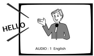PIONEER DVL-V888 - Press AUDIO during playback. - 1