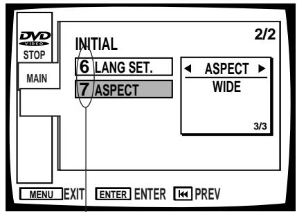 PIONEER DVL-V888 - Current settings - 5