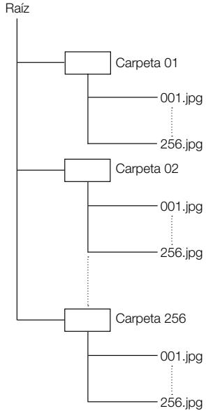 PIONEER BDP-120 - Estructura de las carpetas de imgenes fijas (JPEG) - 1