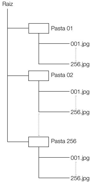 PIONEER BDP-120 - Estrutura das pastas das imagens estáticas (JPEG) - 1
