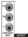 PIONEER BDP-LX54 - Terminales/tomas de video de este reproductor - 3