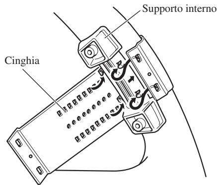 Supporto interno Cinghia