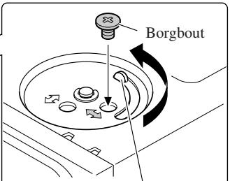 Borgbout