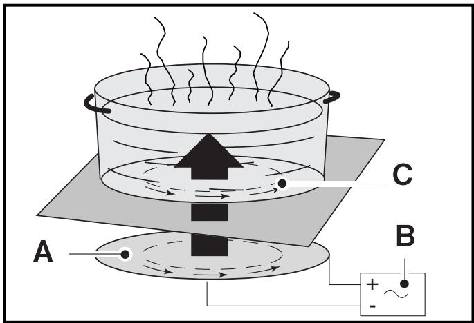 SAUTER STI994B,  STI998VG - - Principé de l'induction - 1