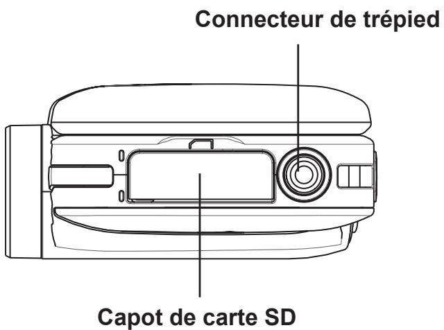 TOSHIBA P100, CAMILEO P100 - Remarque - 4