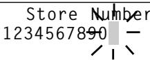 TOSHIBA TL933 - EDITING AND DELETING STORED NUMBERS - 2