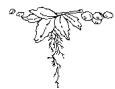 SHARP R-82FBST - Préparation - 5