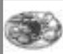 SHARP R-82FBST - LABELAS - 1