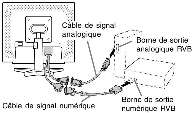 Câble de signal analogique Câble de signal numérique Borne de sortie analogique RVB Borne de sortie numérique RVB