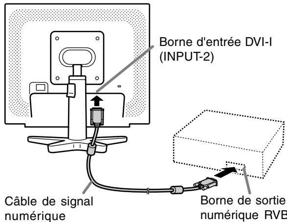 Borne d'entrée DVI-I (INPUT-2) Câble de signal numérique Borne de sortie numérique RVB