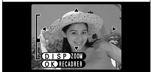 FUJIFILM F401 ZOOM - - Echelles de zoom: - 2