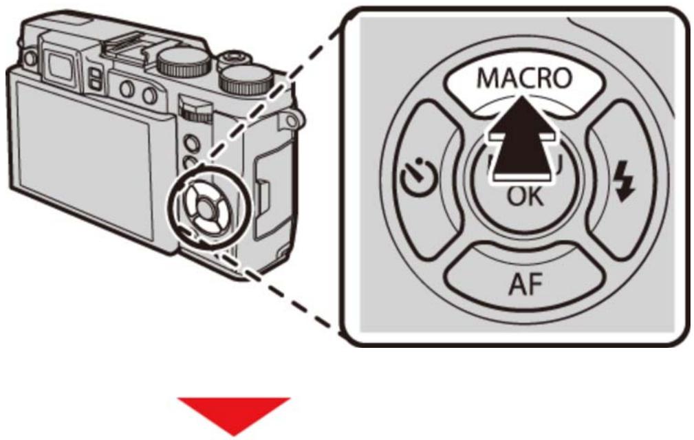 FUJIFILM X30 - Mode macro (gros plans) - 1