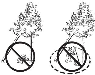 HUSQVARNA 560 XPG - Récupération d'un arbre accroché - 1