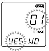 OLYMPUS VN-750 - Erasing - 1