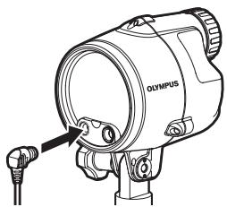 OLYMPUS UFL-2 - Raccordement via un câble à fibres optiques étanche (en option) - 1