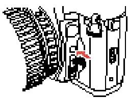 PENTAX MZ-S - Réglage du mode flash - 1