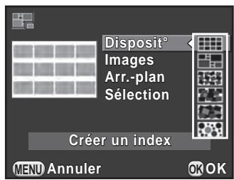 PENTAX K-500 - Assemblage de plusieurs images (index) - 1