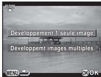 PENTAX K-500 - Développement d'une image RAW - 1