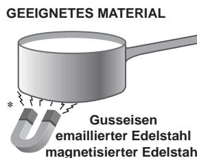 SCHOLTES TI 6312 - Geeignetes Kochgeschirr - 1