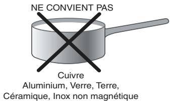 SCHOLTES TIL 642 - Conseils d'utilisation de l'appareil - 2