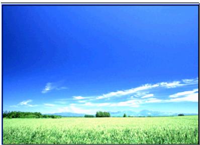 TAKARA GP 8 - Picture - 3