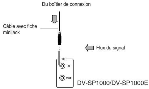 Du boîtier de connexion Câble avec fiche minijack Flux du signal IR IN RSU DV-SP1000/DV-SP1000E