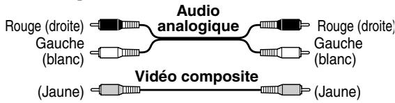 Audio analogique Rouge (droite) Gauche (blanc) Rouge (droite) Gauche (blanc) Jiaune Vidéo composite (Jaune)