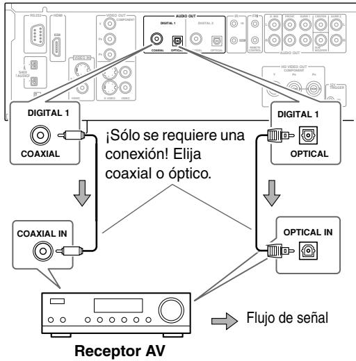 ONKYO DV-SP1000E - Conexión de audio digital (Dolby Digital & DTS) - 1