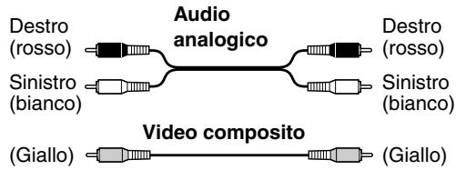 ONKYO DV-SP404EM - Codifica dei colori RCA/phono per i collegamenti AV - 1