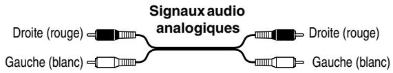 ONKYO DV-SP404EM - Code de couleurs des prises RCA/Cinch pour apparéils AV - 1