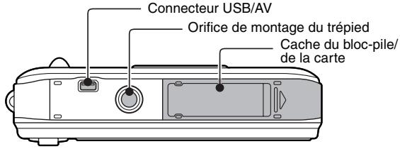 SANYO XACTI VPC-E60 - Vue arrière - 2