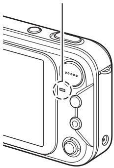 SANYO XACTI VPC-E60 - À propos de l'indicateur multifonctions - 1